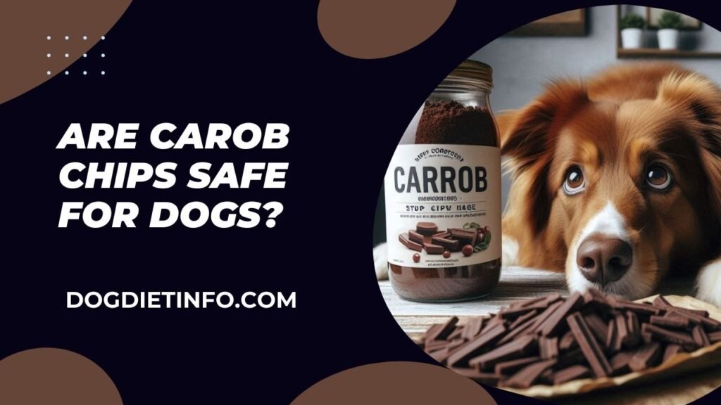 Are Carob Chips Safe For Dogs