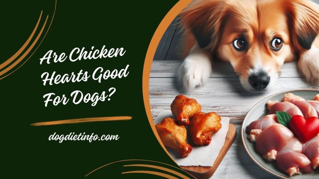 Are Chicken Hearts Good For Dogs