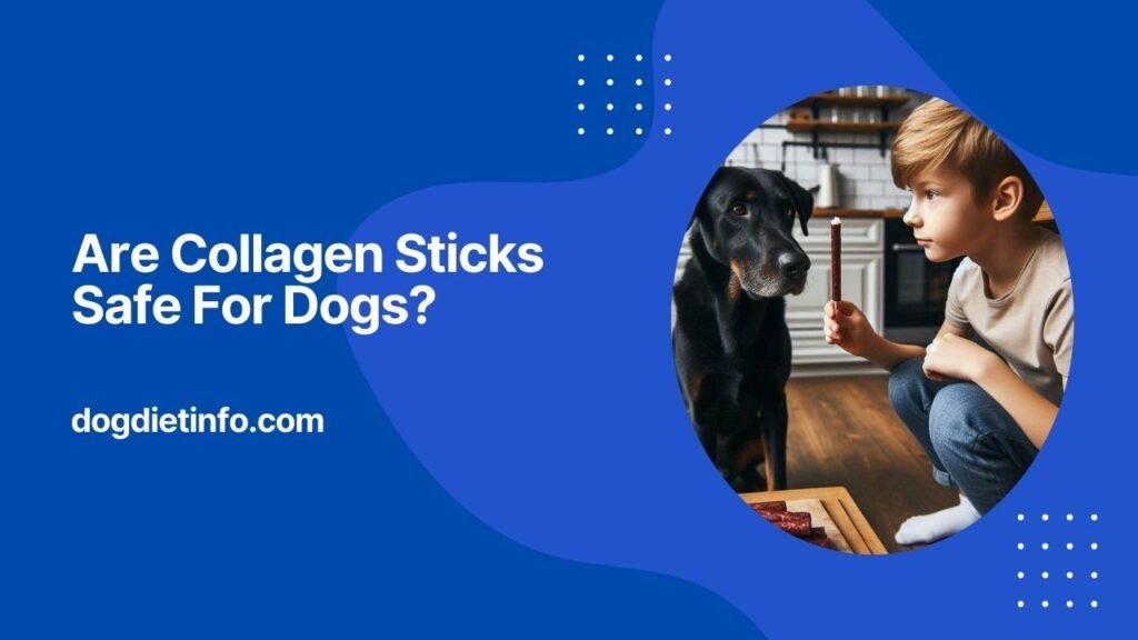 Are Collagen Sticks Safe For Dogs