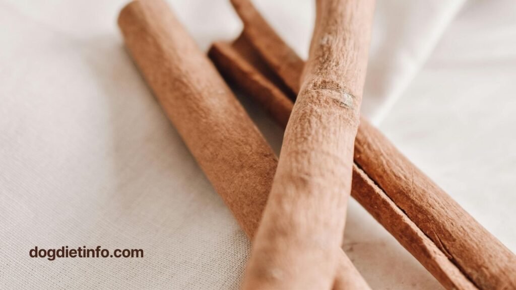 Are Collagen Sticks Safe For Dogs