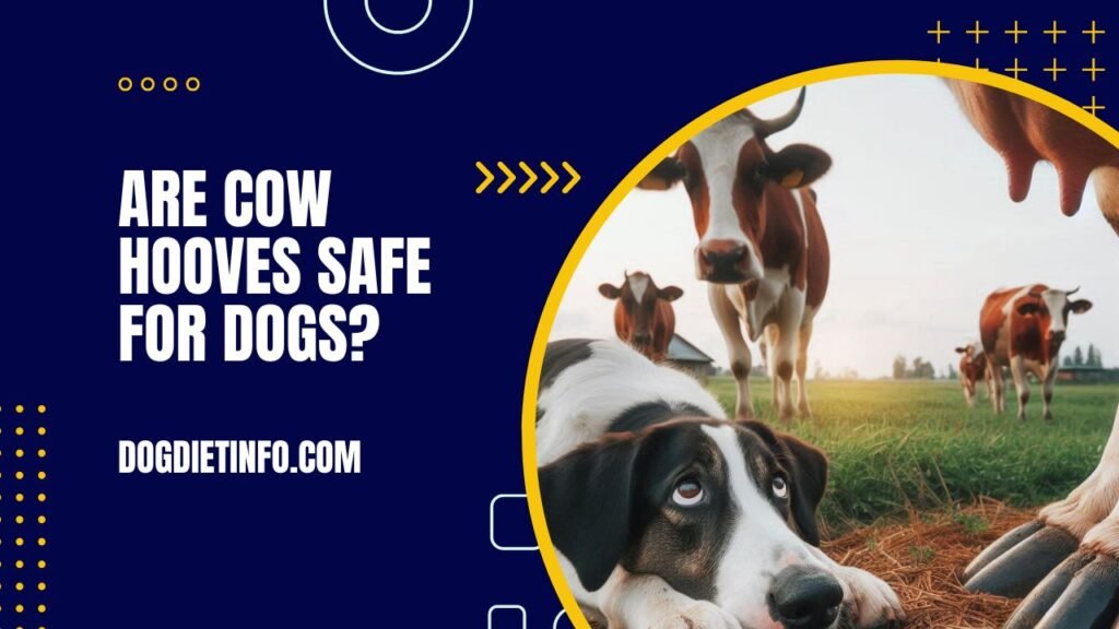 Are Cow Hooves Safe For Dogs