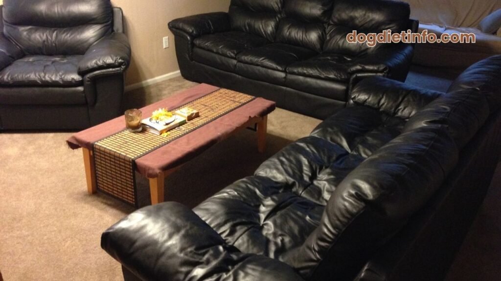 Are Leather Couches Good For Dogs