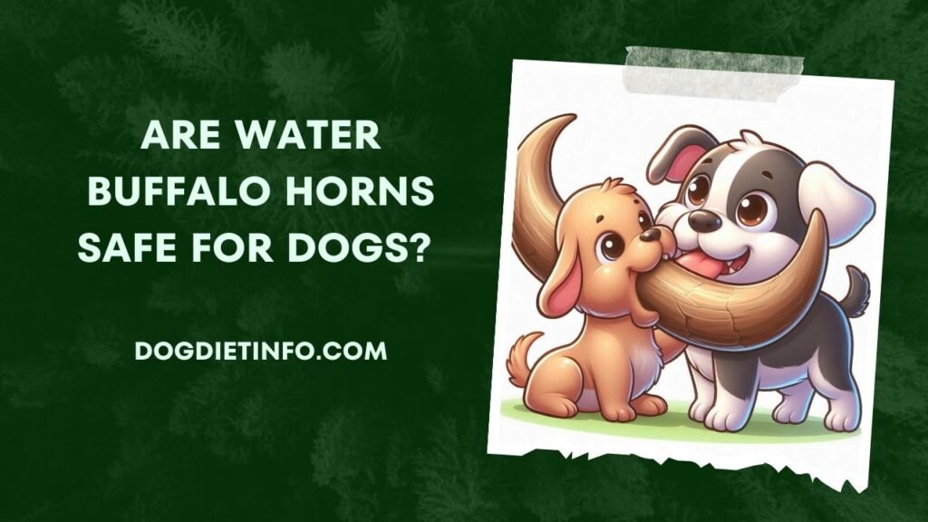 Are Water Buffalo Horns Safe For Dogs