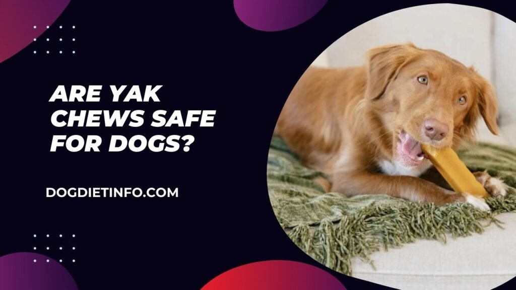 Are Yak Chews Safe For Dogs