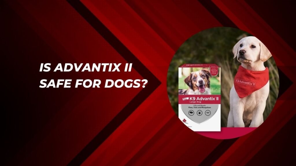 Is Advantix II Safe For Dogs