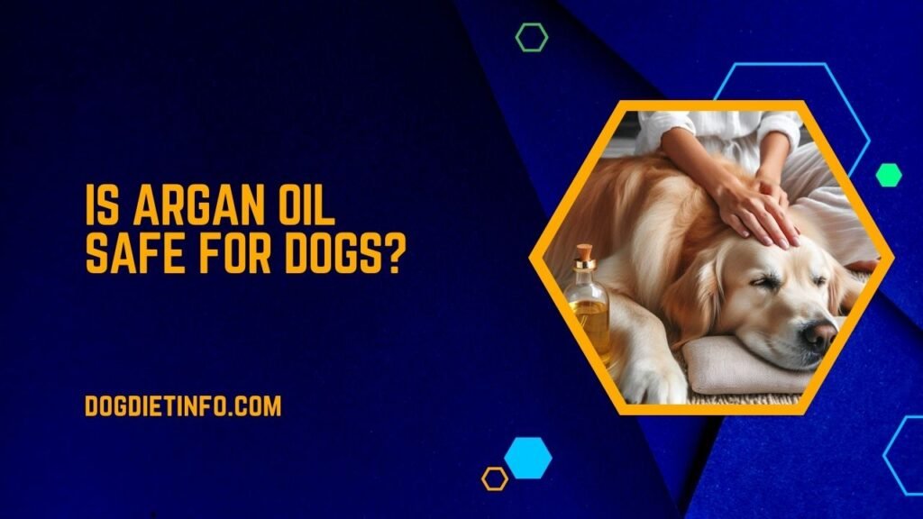 Is Argan Oil Safe For Dogs
