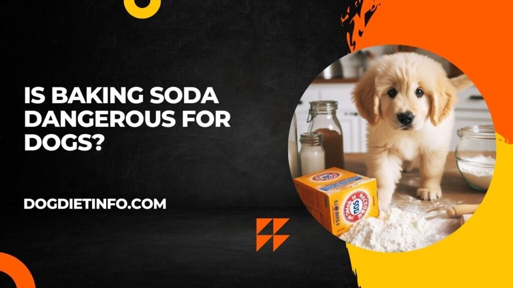 Is Baking Soda Dangerous For Dogs