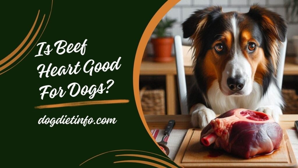 Is Beef Heart Good For Dogs