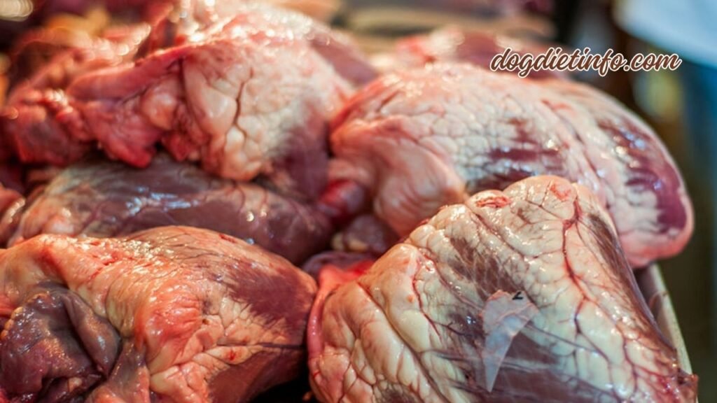 Is Beef Heart Good For Dogs