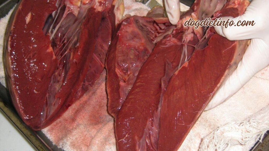 Is Beef Heart Good For Dogs
