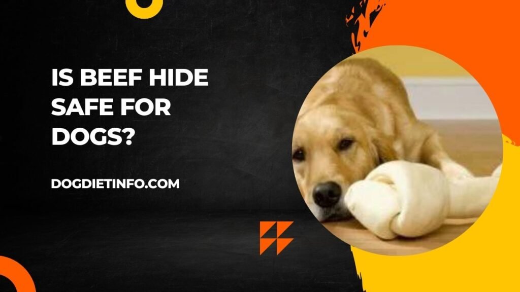Is Beef Hide Safe For Dogs