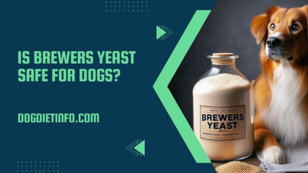 Is Brewers Yeast Safe For Dogs