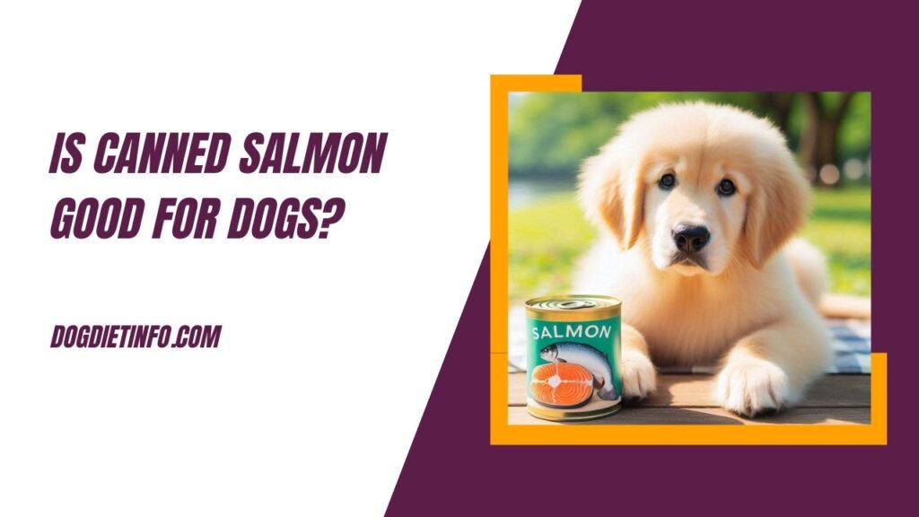 Is Canned Salmon Good For Dogs
