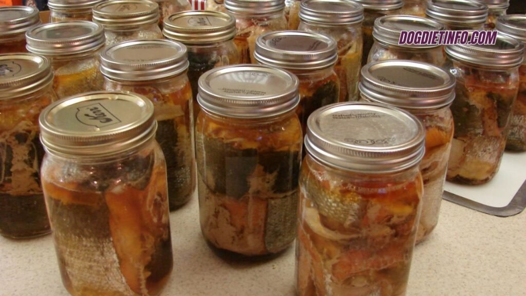 Is Canned Salmon Good For Dogs