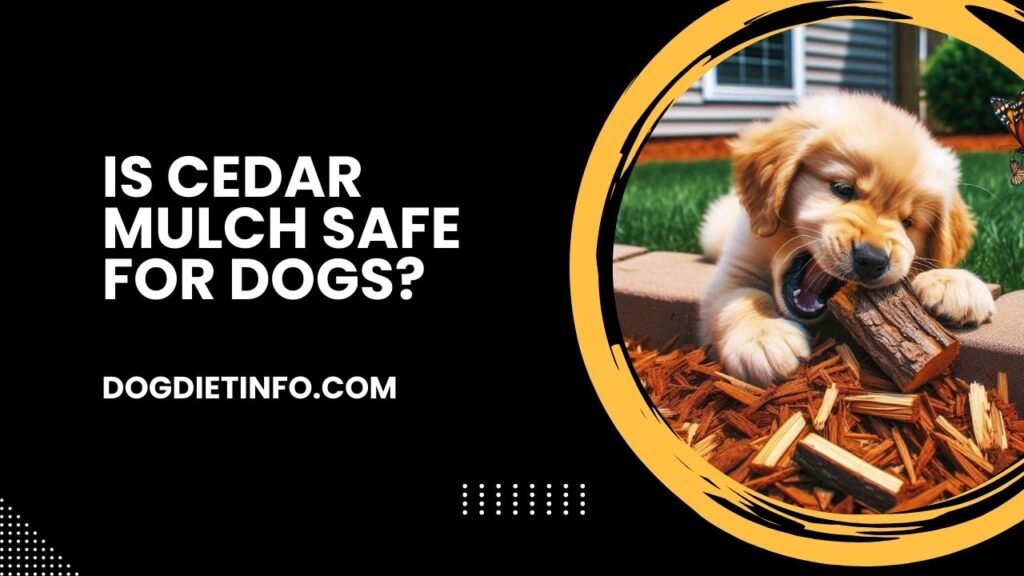 Is Cedar Mulch Safe For Dogs
