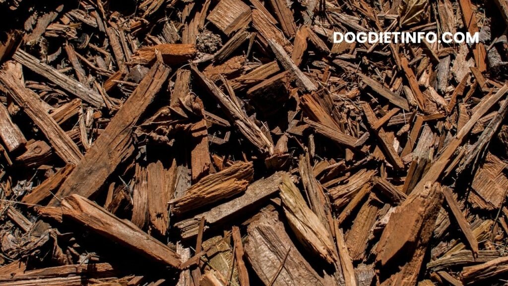Is Cedar Mulch Safe For Dogs
