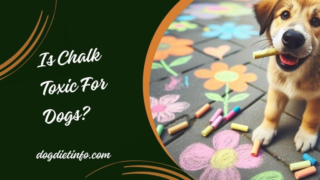 Is Chalk Toxic For Dogs