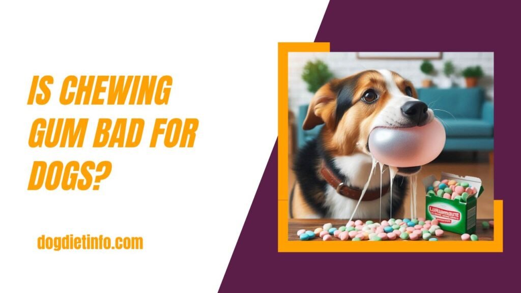 Is Chewing Gum Bad For Dogs