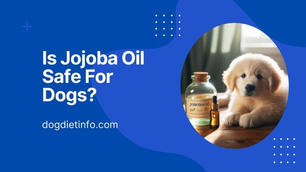 Is Jojoba Oil Safe For Dogs