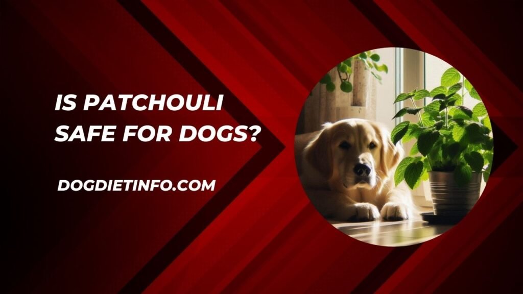 Is Patchouli Safe For Dogs
