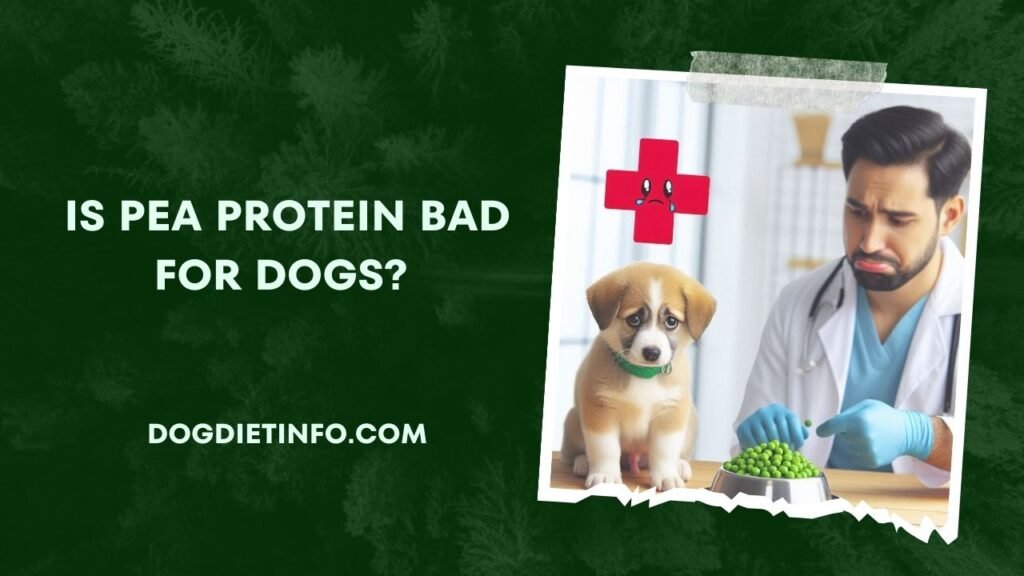 Is Pea Protein Bad For Dogs