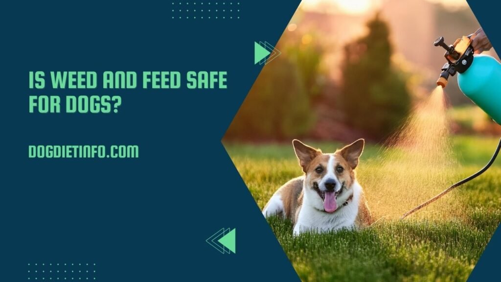 Is Weed And Feed Safe For Dogs 2