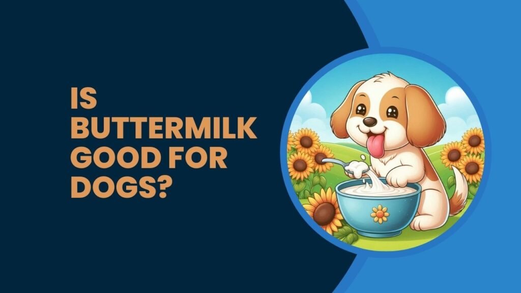 Is Buttermilk Good For Dogs