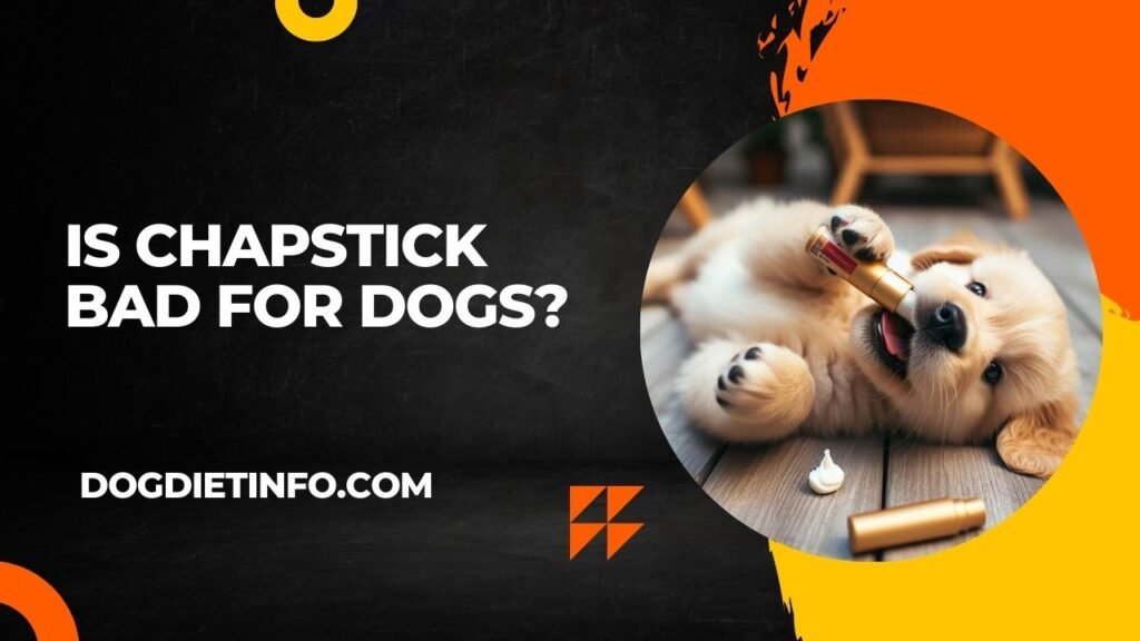Is Chapstick Bad For Dogs