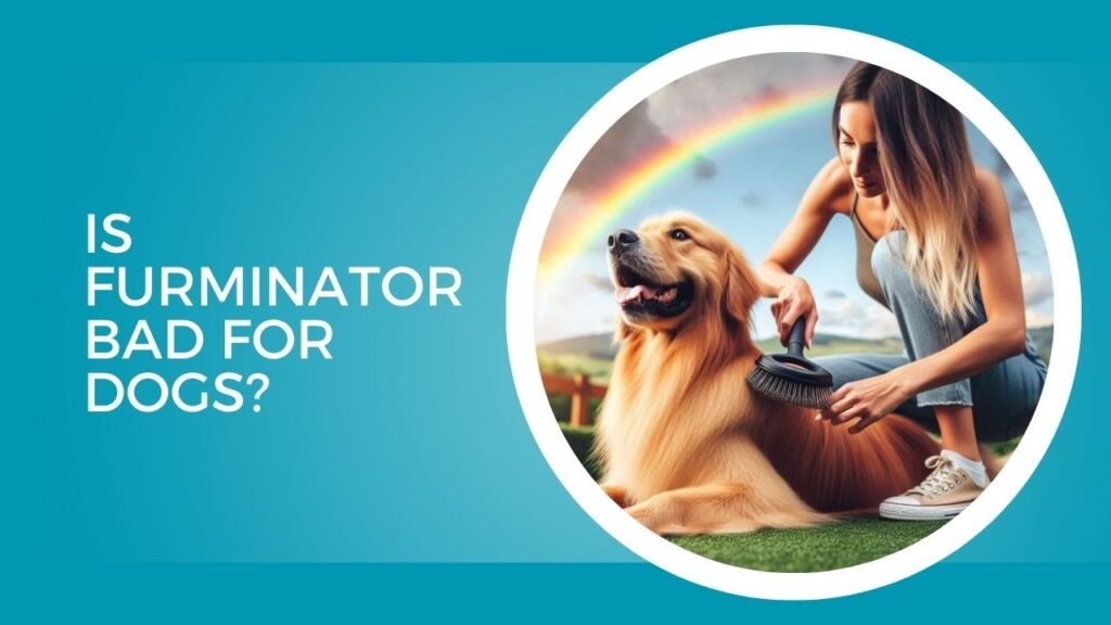 Is Furminator Bad For Dogs