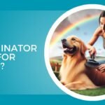 Is Furminator Bad For Dogs