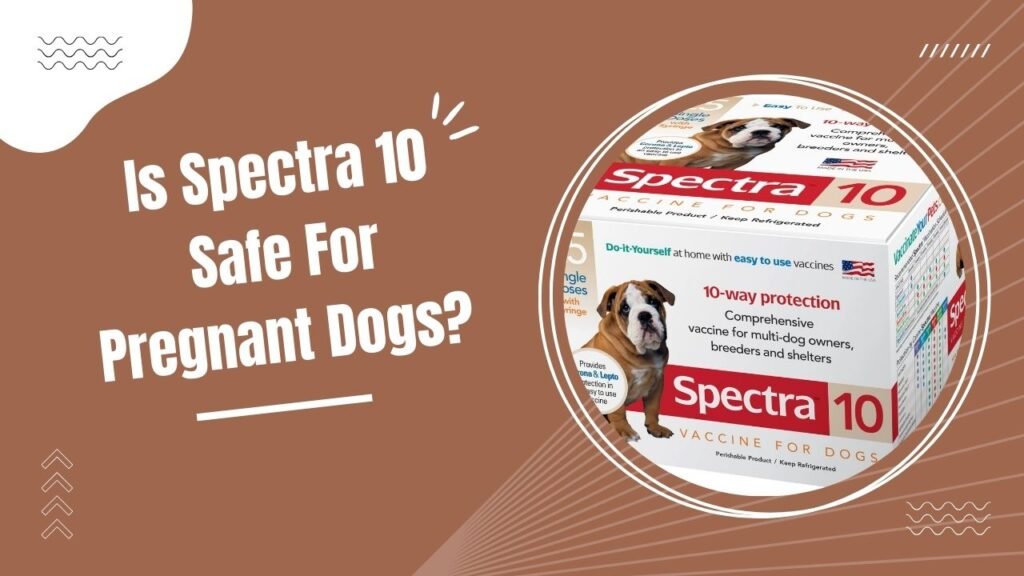 Is Spectra 10 Safe For Pregnant Dogs