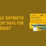 Is Triple Antibiotic Ointment Safe For Dogs
