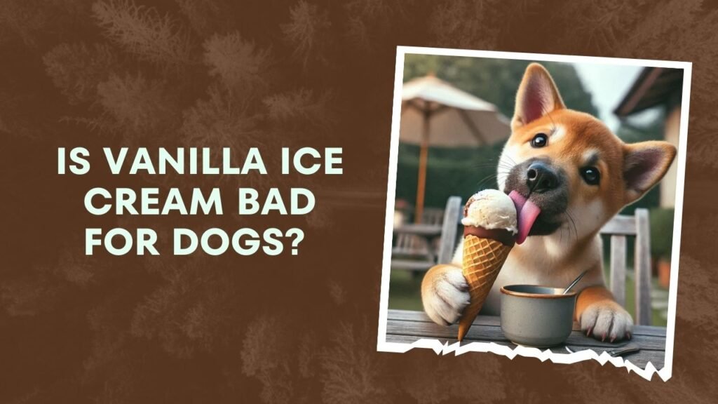 Is Vanilla Ice Cream Bad For Dogs